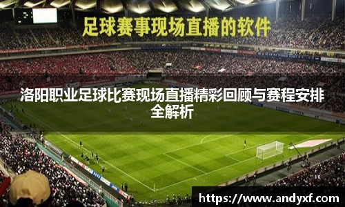 洛阳职业足球比赛现场直播精彩回顾与赛程安排全解析